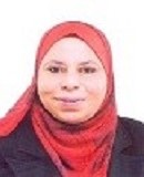 Zeinab Abdel Hamid Abdel Aziz